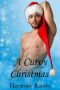 [Robin's Romance 01] • A Curvy Christmas